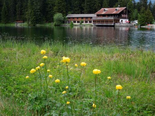 Hostal Spirit & Soul - Die Wohlf�hlpension