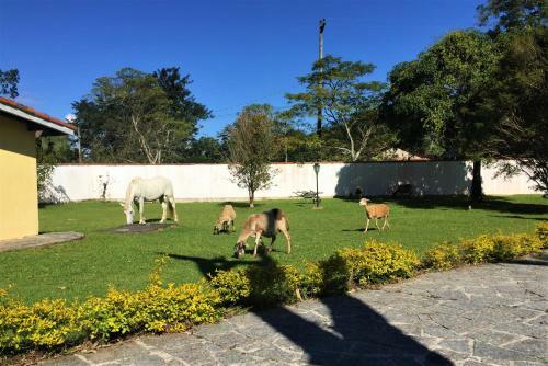 Recanto Do Ribeir�o
