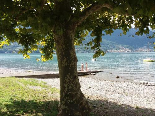 Apartamento Villa Plinio Lago Di Como