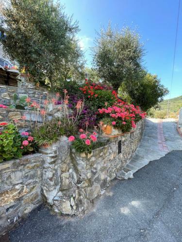 Apartamento Casa Belvedere