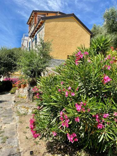 Apartamento Casa Belvedere
