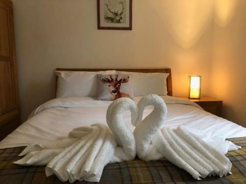 Apartamento 12 Lochiel Road