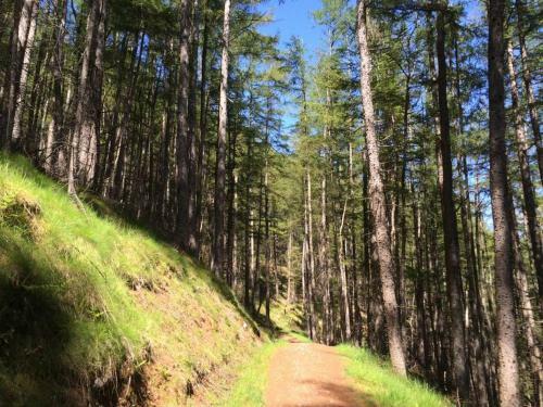 Apartamento Highland Self Catering Retreat With Stunning Views