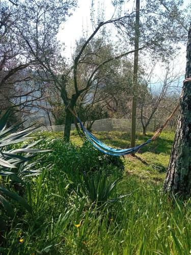La Ginestra B&B