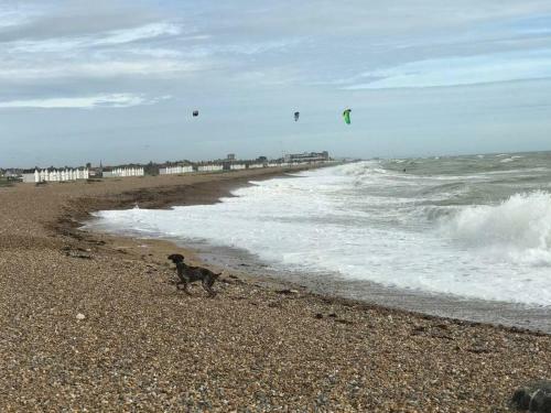 Apartamento Goring Beach Studio - 2 Min Walk From Seafront