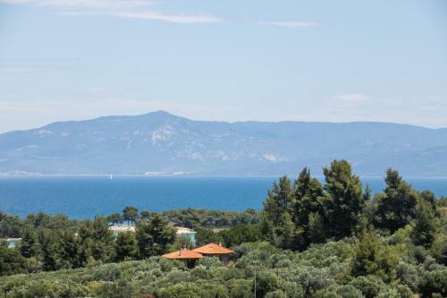 The Euphoria Club Luxury Villas