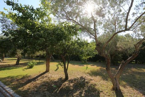 Villa Argo 3 - Beachfront, Big Gardens, Location!