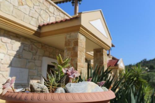 Villa Argo 3 - Beachfront, Big Gardens, Location!