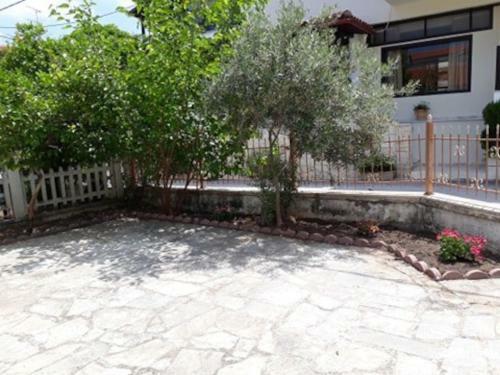 Spacious House 100 Metres From The Beach