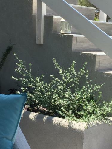 Apartamento Ananda Homes