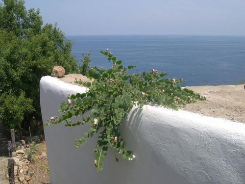 Villa Casa Luna Incredible Sea View