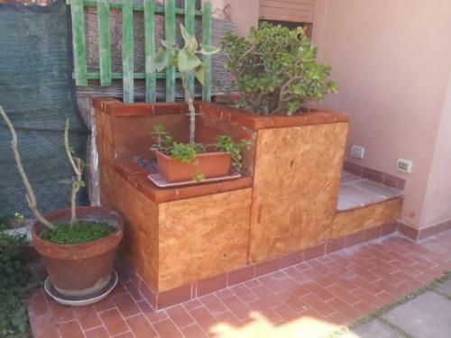 Casa Telly