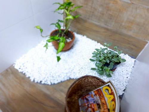 Quer Tirar F�rias Do Stress ? Vem Pra C�!!!