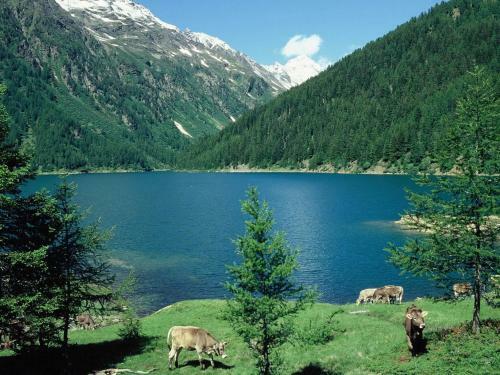 Pleasant Apartment In Magras Di Mal� With Spa