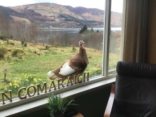 "an Comaraich - The Sanctuary"