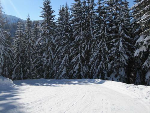 Bed & Breakfast Haus Salzkammergut