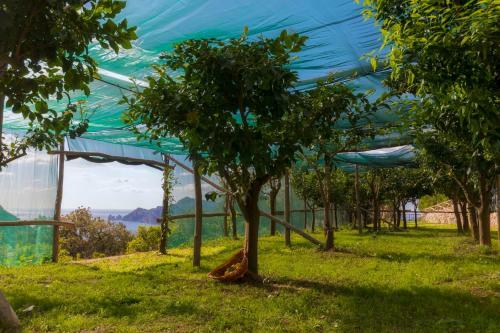 Apartamento Villa Angelica