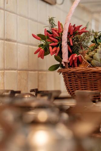 Apartamento Casa Marinai Di Amalfi 1059