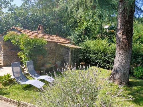 Apartamento La Rosa Appartamenti