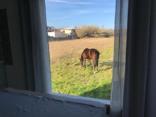 Apartamento Domo Baronia