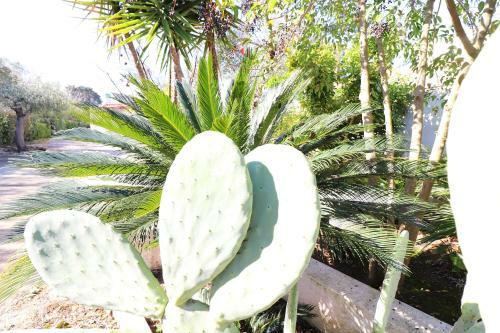 Apartamento Casa Vacanza Malvasia Nera Otranto