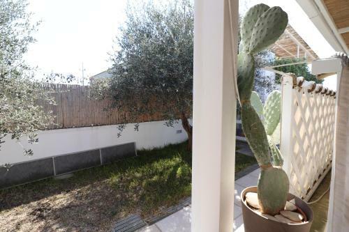 Casa Ginevra Lu Sule A Otranto