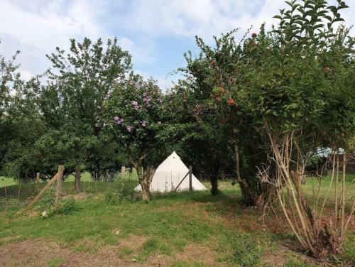 Un Petit Coin de Bonheur Au Ranch