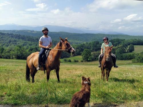 Un Petit Coin de Bonheur Au Ranch