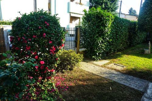 Apartamento Jasmine Malpensa And More