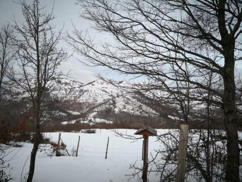 Il Sasso Bed & Breakfast