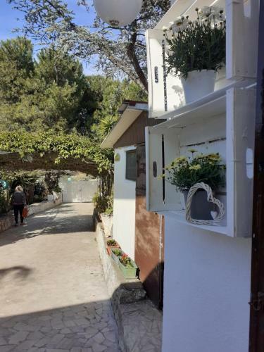 Villa Rosa