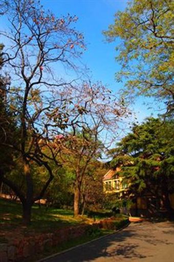 The Castle Hotel