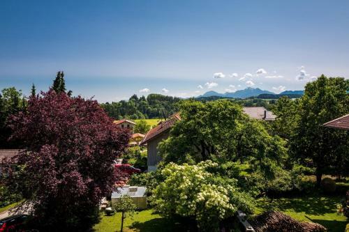 Apartamentos Ferienwohnung H�tzelsperger
