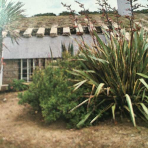 Villa Di Design Con Il Tetto Verde