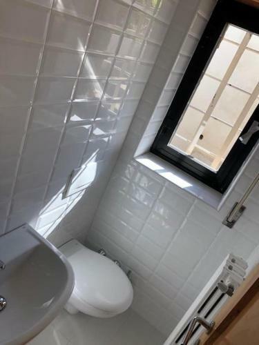 Villa Di Design Con Il Tetto Verde