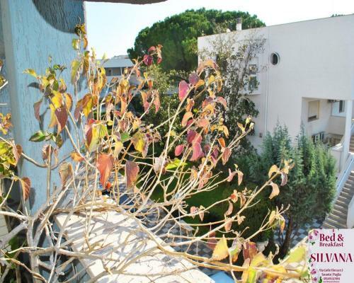 Bed And Breakfast Silvana