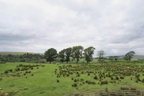 Apartamento Northumberland-hideaways