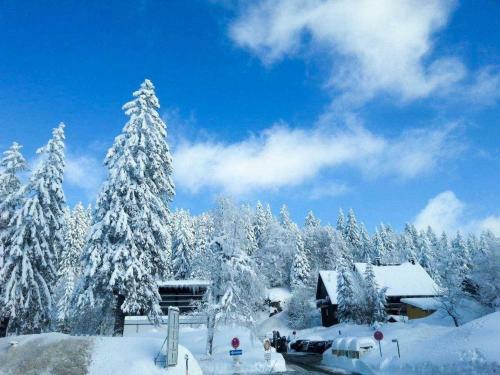 Apartamento Residenz Grafenmatt 2 1