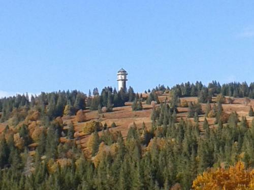 Apartamento Fewo Feldbergturmblick