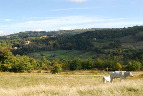 Apartamento A Stay Surrounded By Greenery - Agriturismo La Piaggia -