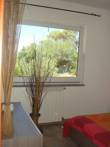 Apartamento Villa Rux