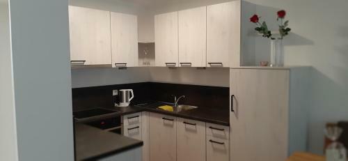 Apartamento Residence Maximilian