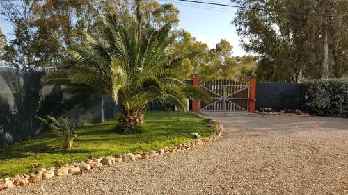 Hostal Affittacamere Pintadera