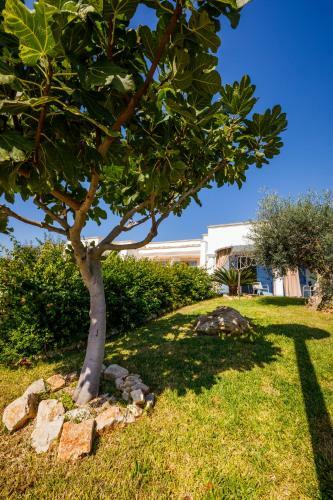 Apartamento Mare Villas Pescoluse
