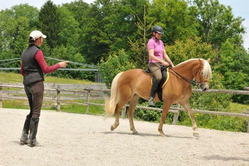 Apartamento Hochgallinger Hof