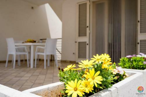 Perle Del Mare - Appartamenti Di Pregio 70m Spiaggia Pescoluse