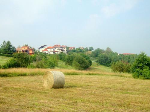 Charming Holiday Home In Niella Tanaro With Garden