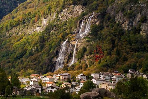 Apartamento C� Bregaglia - Appartamenti Per Vacanze