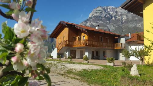 Agroturismo Agritur Clementi