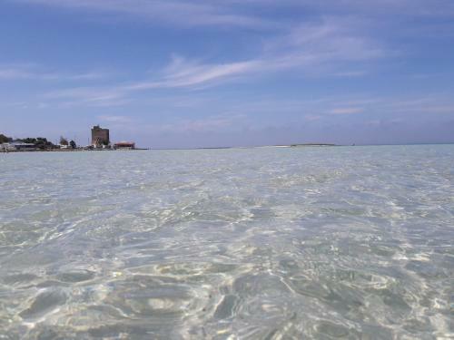 Stella Marina